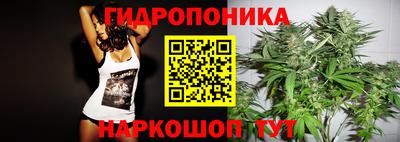 таблы Боровичи