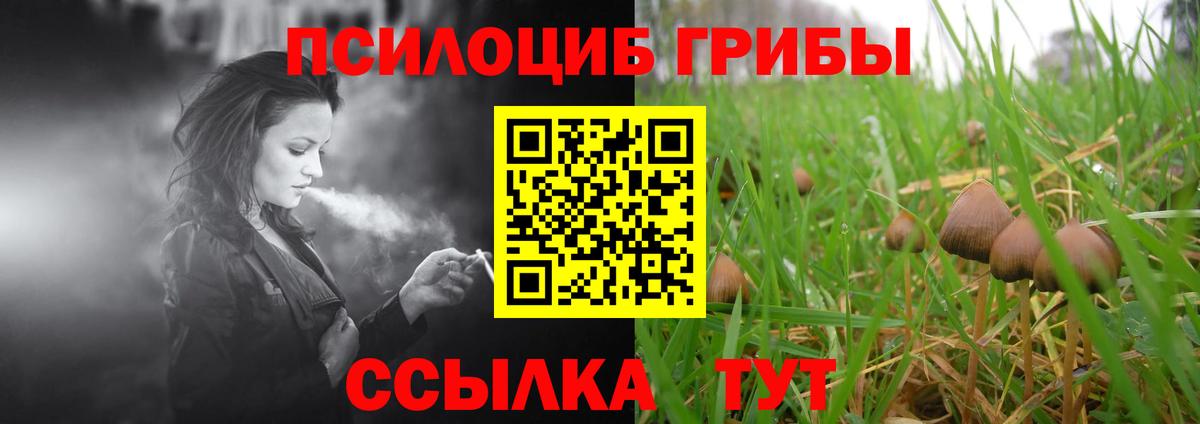 наркота  Вход с VPN  Баксан  Галлюциногенные грибы мицелий 