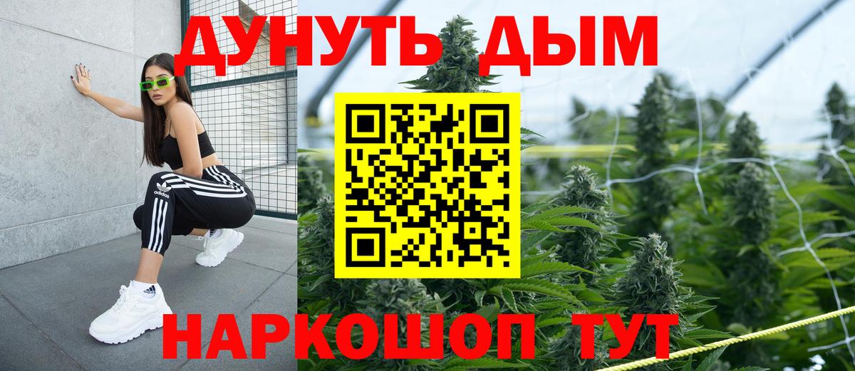Каннабис индика Баксан